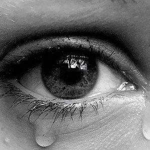 Meet your Posher, Lise